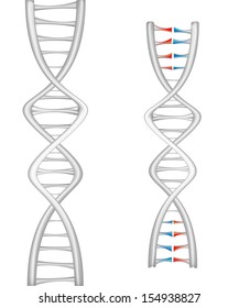  DNA molecule, showing its destruction. Eps 10 