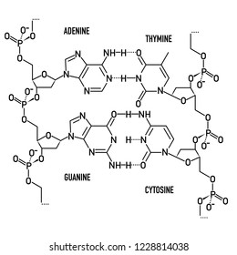 DNA molecule structural formula background. Vector illustration