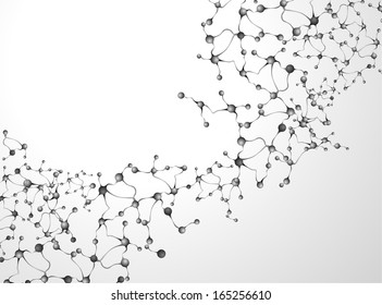 DNA molecule structure