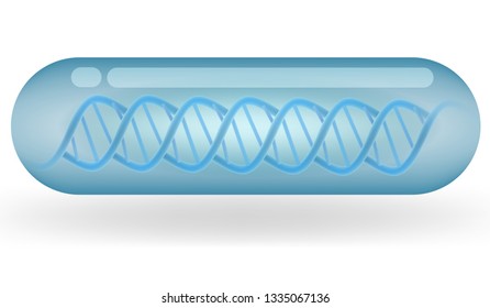 DNA molecule structure in Capsule graphic vector