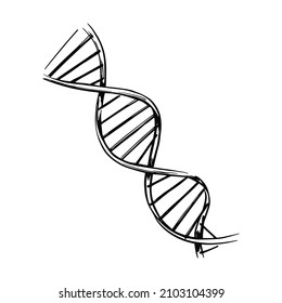  Estructura de moléculas de ADN. La investigación genética y química aisló la ilustración vectorial. Esbozo de ilustración dibujado a mano.