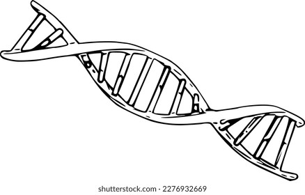  molécula de ADN. icono de la estructura del ADN. Ilustración del vector de contorno. 