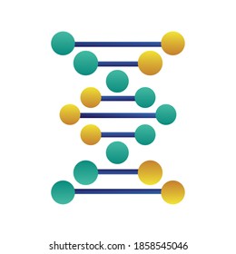 dna molecule structure isolated icon vector illustration design