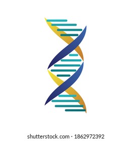 dna molecule structure isolated icon vector illustration design