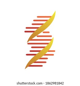 dna molecule structure isolated icon vector illustration design
