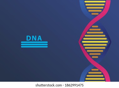 estructura de molécula dna y letras en diseño de ilustración vectorial de fondo azul