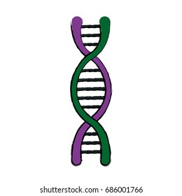 dna molecule structure science genetic structure