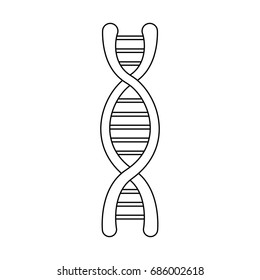 dna molecule structure science genetic structure