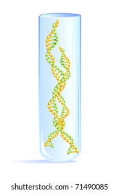 DNA molecule in test-tube