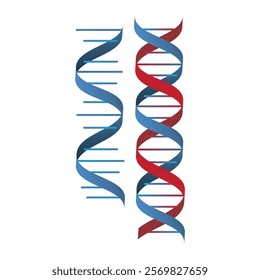 DNA is a molecule that contains genetic information in the development of living things