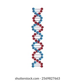 DNA is a molecule that contains genetic information in the development of living things