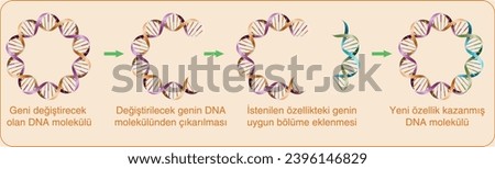 DNA molecule that will change the gene, removal of the gene to be changed from the DNA molecule, Gene Transfer, Creating new genes Stock photo © 