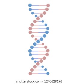 DNA molecule vector illustration in flat colors
