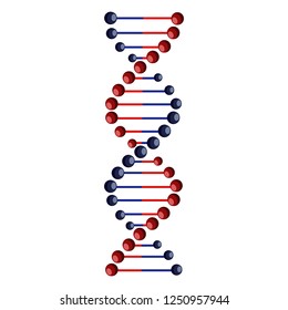 DNA molecule vector illustration in red and blue colors. DNA vector icon