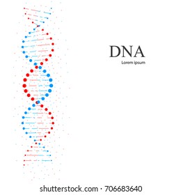 DNA molecules. Vector illustration isolated on white background