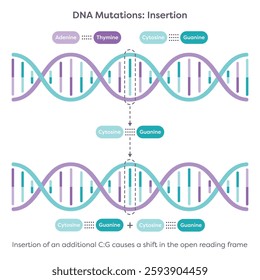 DNA Mutations Insertion educational science illustration graphic