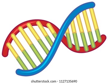 Dna On White Background Illustration Stock Vector (Royalty Free ...