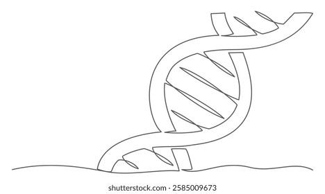 DNA One line drawing on white background