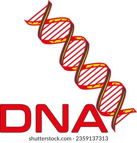 DNA Our genetic code, from there everything is born