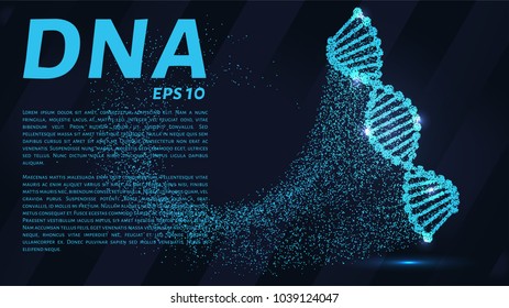 DNA from the particles. Silhouette of DNA consists of small circles.