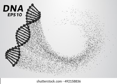 DNA from the particles. Silhouette of DNA consists of small circles.