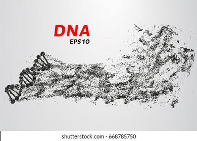 DNA from the particles. Silhouette of DNA consists of small circles