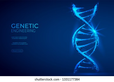 DNA polygonal genetic engineering abstract background. The isolated concept of medical science, genetic biotechnology consists of low poly wireframe, geometry triangle, lines, dots, polygons, shapes.