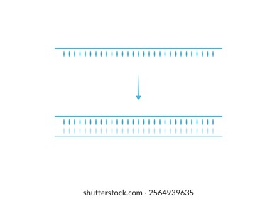 DNA Polymerase Enzyme Function Science Design. Vector Illustration.