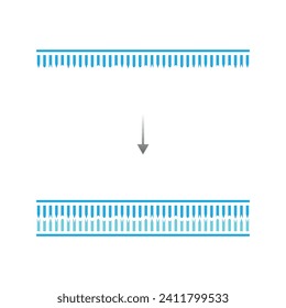 DNA Polymerase Enzyme Function Scientific Design. Vector Illustration.