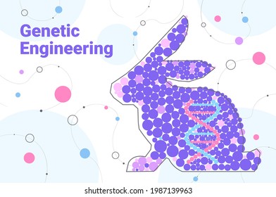 DNA of rabbit genetically modified animals genetic engineering biological research concept horizontal