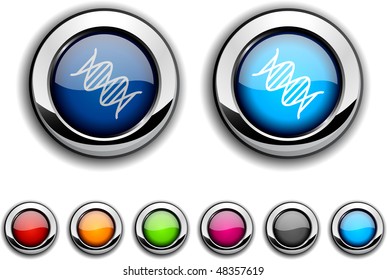 DNA realistic buttons. Vector illustration.