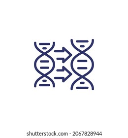 DNA replication icon, line vector