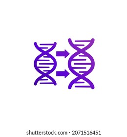 DNA replication icon on white