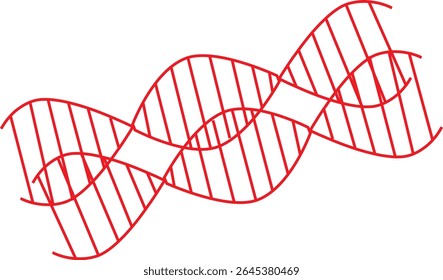 DNA Replication Model Hand Drawn Illustration