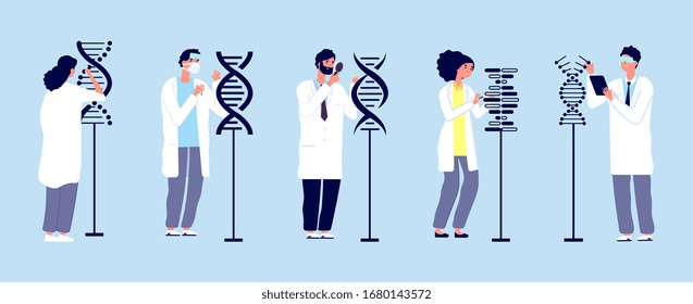 DNA research. Scientists studying molecules. Human structure, genetic engineering and scientific experiments. Medical laboratory workers vector illustration