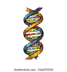 Dna Science Hand Drawn Vector. Genetic Helix Gene, Biotechnology Molecule, Medical Structure Dna Science Sketch. Isolated Color Illustration