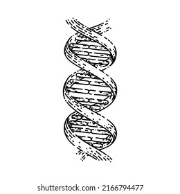 vector dibujado a mano por la ciencia del adn. genoma genético helix, molécula biotecnológica, estructura médica y esbozo de ciencia del adn. ilustración negra aislada