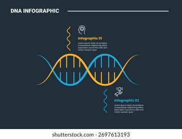 Diagrama de proceso de la infografía de la hélice de la ciencia del ADN con la forma Horizontal con la comparación hacia arriba y hacia abajo con el estilo brillante del contorno del fondo oscuro Vector de 2 puntos