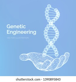 DNA sequence in hand. Wireframe DNA molecules structure mesh. DNA code editable template. Science and Technology concept. Vector illustration.