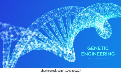 DNA sequence. Wireframe DNA molecules structure mesh. DNA code editable template. Science and Technology concept. Vector illustration.