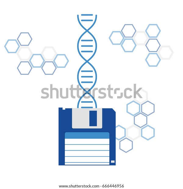 shutterstock
