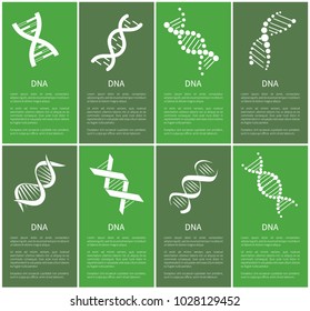 DNA set of white spirals isolated on green backdrops, different forms DNA chains with genetic information, framed vector illustrations, text sample