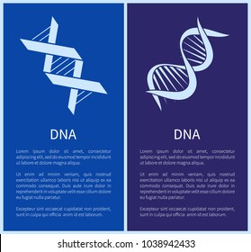 DNA set of white spirals isolated on blue backdrops, different forms DNA chains with genetic information, framed vector illustrations, text sample