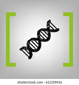 The DNA sign. Vector. Black scribble icon in citron brackets on grayish background.