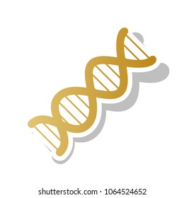 The DNA sign. Vector. Golden gradient icon with white contour and rotated gray shadow at white background.