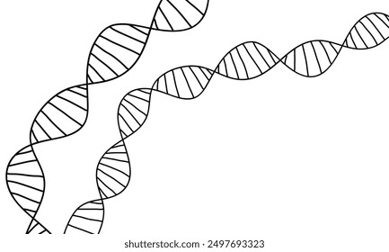 DNA einfache schwarze Linie, medizinischer Hintergrund, Biologie-Hintergrund