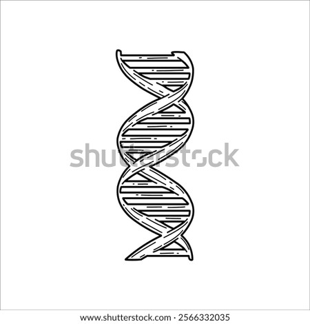 DNA sketch drawing artwork handmade illustration