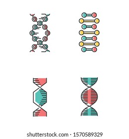 DNA spiral chains color icons set. Deoxyribonucleic, nucleic acid helix. Spiraling strands. Chromosome. Molecular biology. Genetic code. Genome. Genetics. Medicine. Isolated vector illustrations