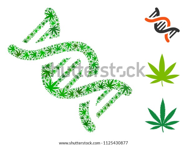 shutterstock