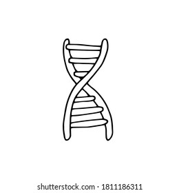 DNA spiral doodle. Vector hand-drawn illustration. Black and white silhouette